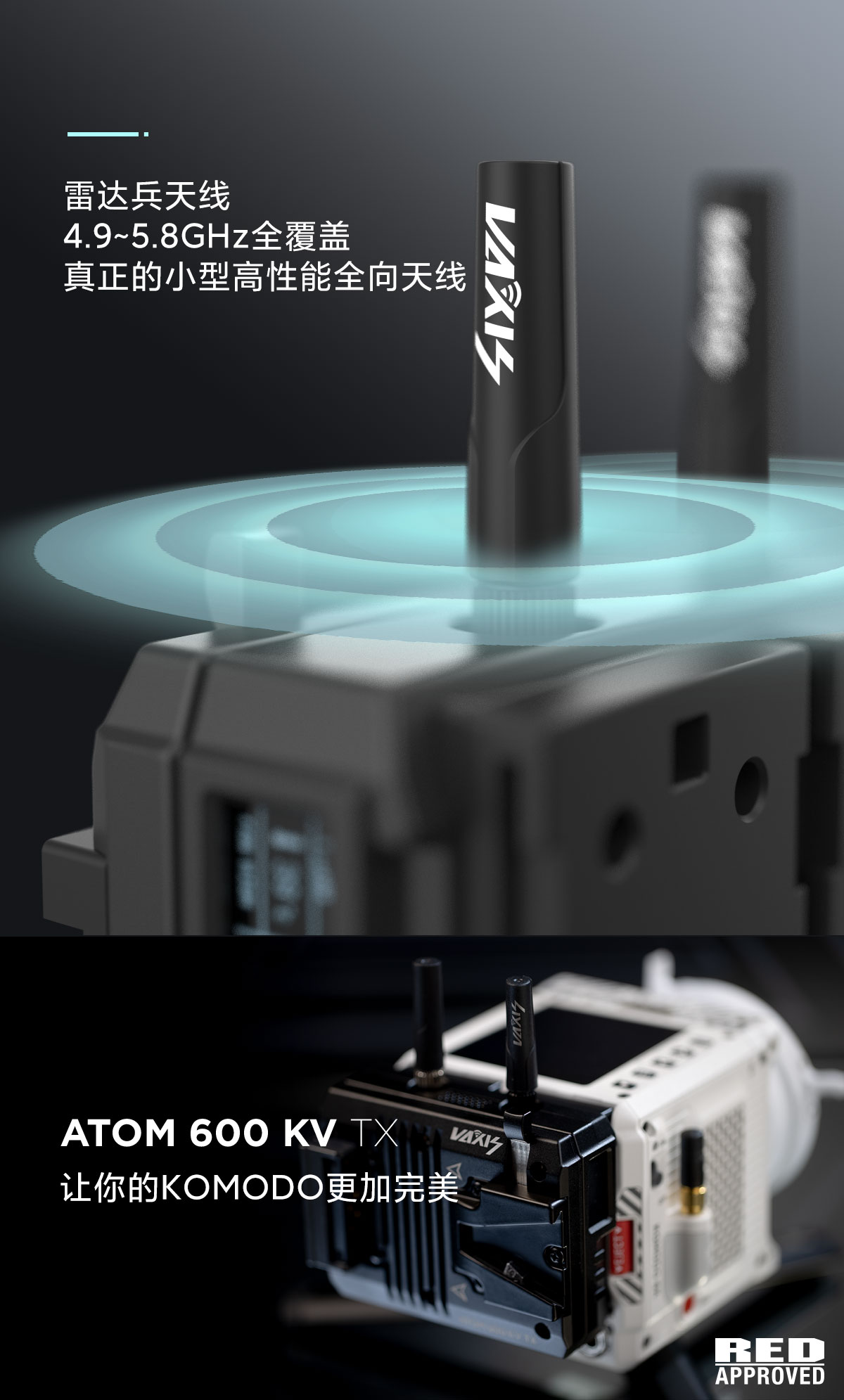 jinnianhui67